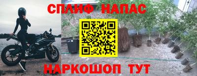 каннабис Уссурийск