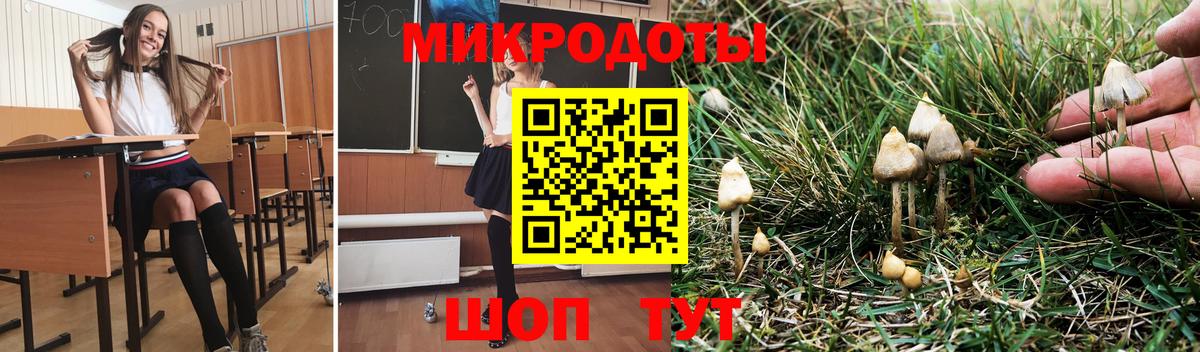Галлюциногенные грибы Psilocybe Нарткала