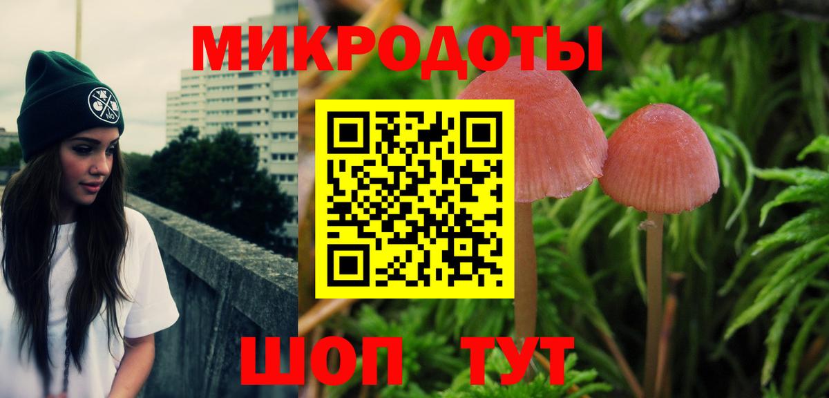 Нарткала  Галлюциногенные грибы MAGIC MUSHROOMS  Вход с VPN  Псилоцибиновые грибы MAGIC MUSHROOMS 